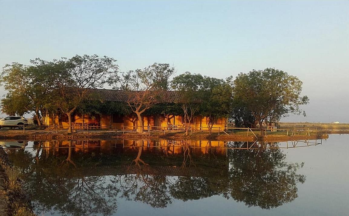 Casetes Del Delta Сан-Жауме-де-Енвежа Екстер'єр фото